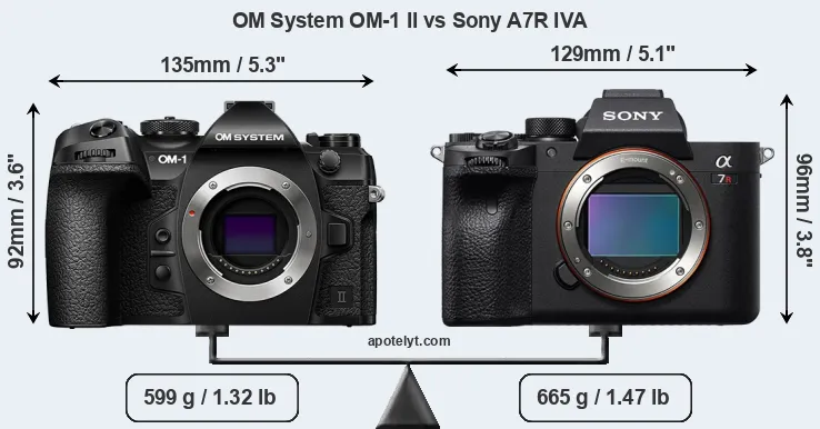 Size OM System OM-1 II vs Sony A7R IVA