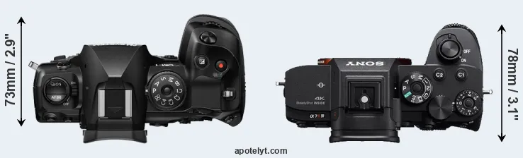 Compare OM-1 II versus A7R IVA top