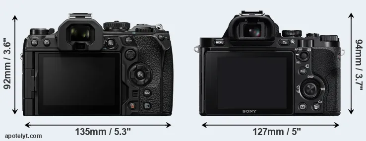 Comparison OM-1 II or A7R rear