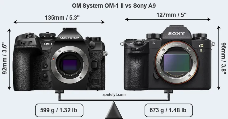 Size OM System OM-1 II vs Sony A9