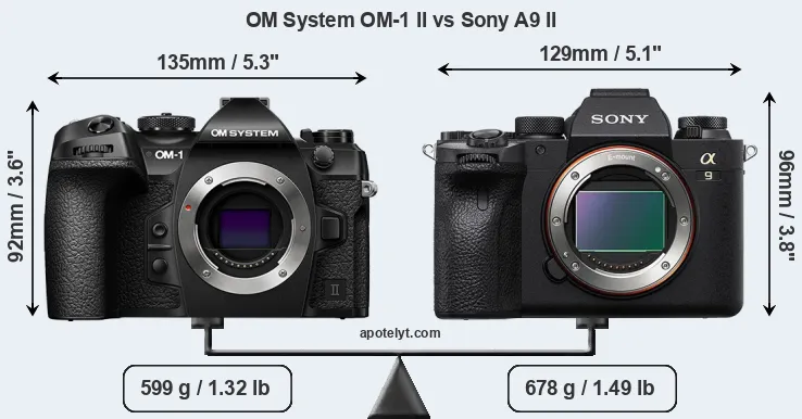 Size OM System OM-1 II vs Sony A9 II