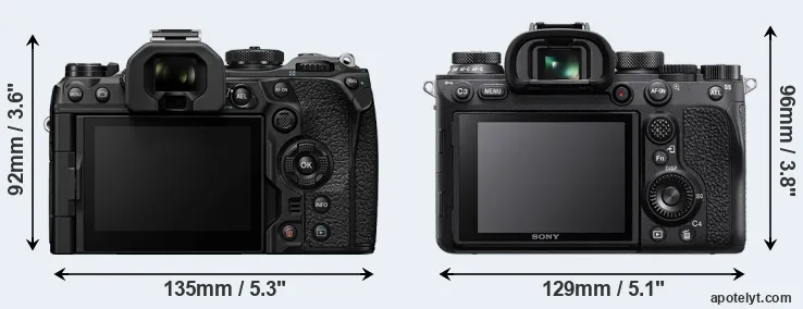 Comparison OM-1 II or A9 II rear