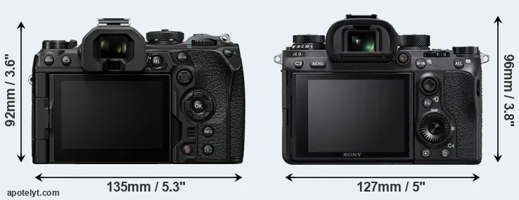 Comparison OM-1 II or A9 rear