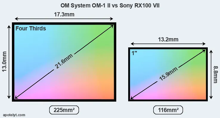 OM System OM-1 II and Sony RX100 VII sensor measures