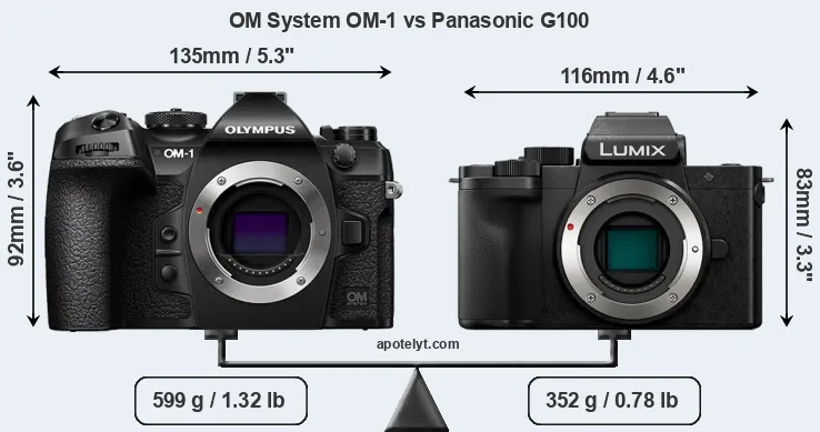 Size OM System OM-1 vs Panasonic G100