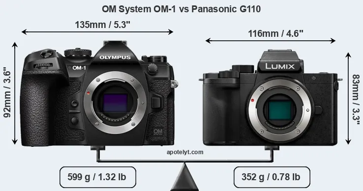 Size OM System OM-1 vs Panasonic G110