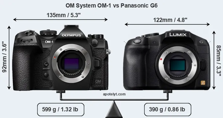 Size OM System OM-1 vs Panasonic G6