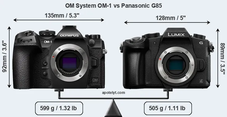 Size OM System OM-1 vs Panasonic G85