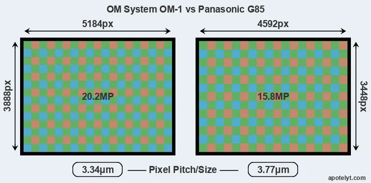 OM-1 versus G85 MP