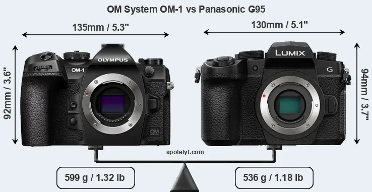 Size OM System OM-1 vs Panasonic G95