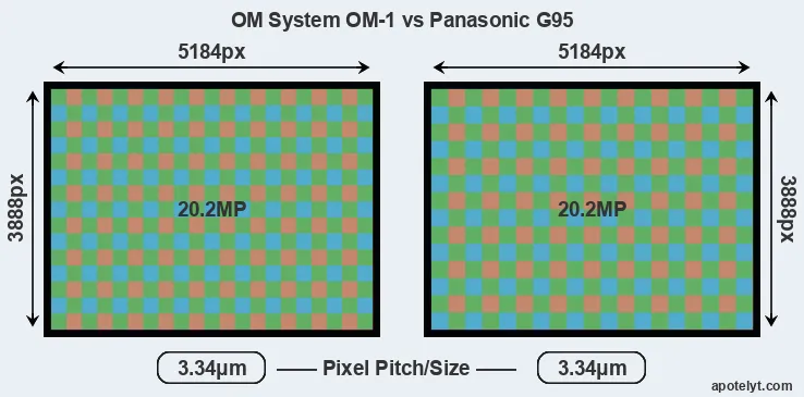OM-1 versus G95 MP