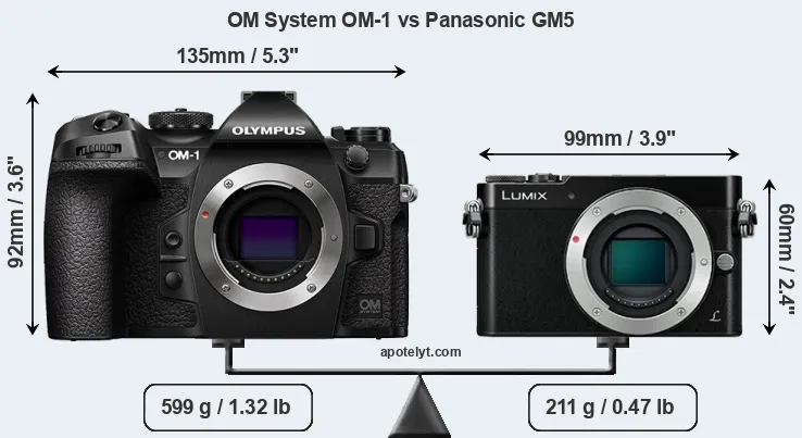Size OM System OM-1 vs Panasonic GM5