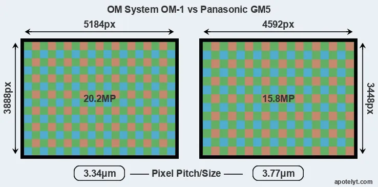 OM-1 versus GM5 MP