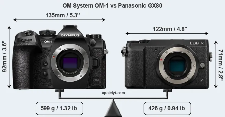Size OM System OM-1 vs Panasonic GX80