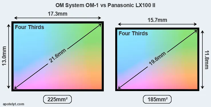OM System OM-1 and Panasonic LX100 II sensor measures