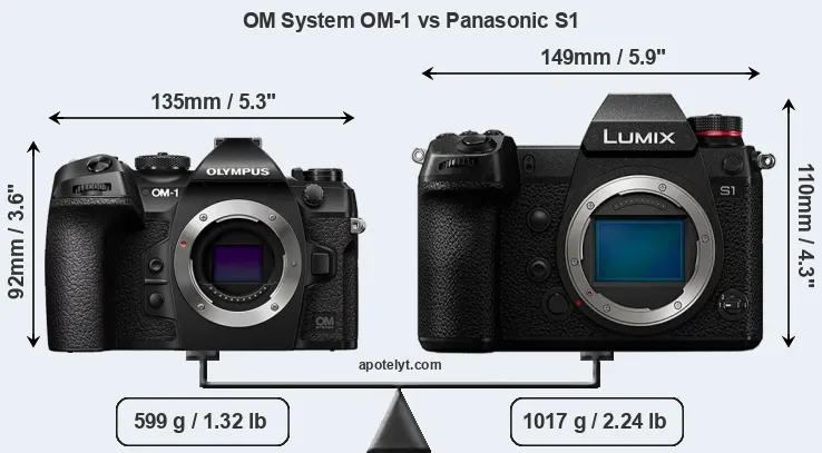 Size OM System OM-1 vs Panasonic S1