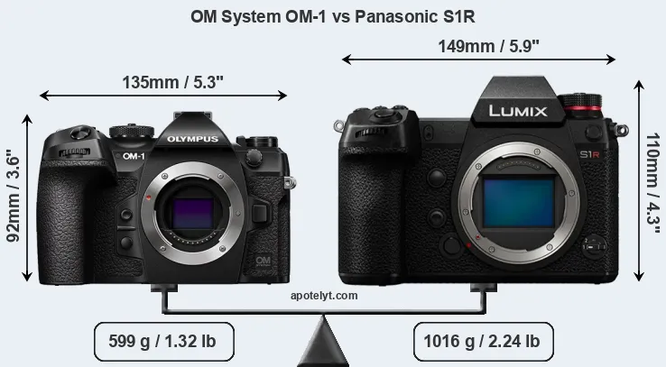 Size OM System OM-1 vs Panasonic S1R