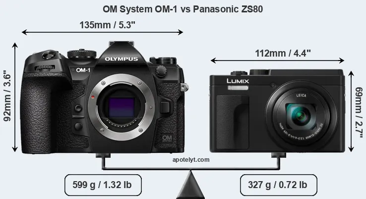Size OM System OM-1 vs Panasonic ZS80