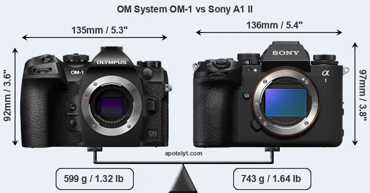 Size OM System OM-1 vs Sony A1 II