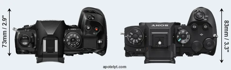 Compare OM-1 versus A1 II top