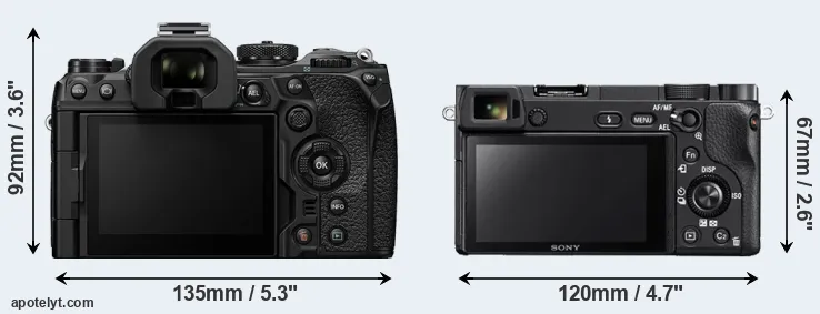 Comparison OM-1 or A6300 rear