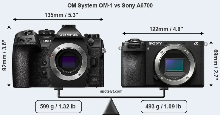 Size OM System OM-1 vs Sony A6700