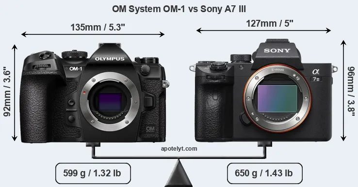 Size OM System OM-1 vs Sony A7 III