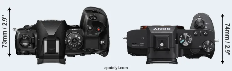 Compare OM-1 versus A7 III top