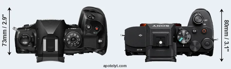Compare OM-1 versus A7 IV top