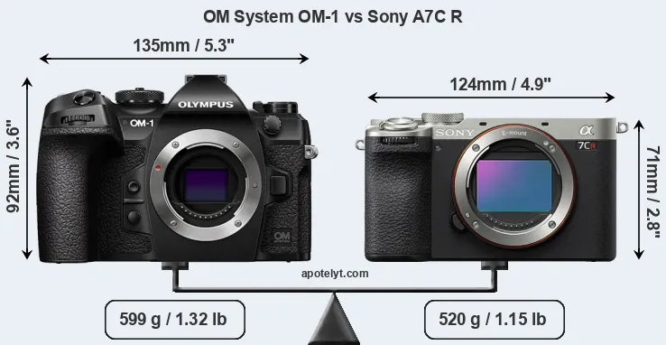 Size OM System OM-1 vs Sony A7C R