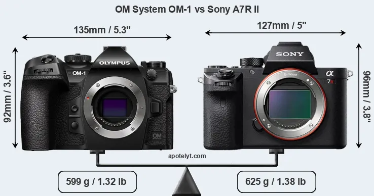 Size OM System OM-1 vs Sony A7R II