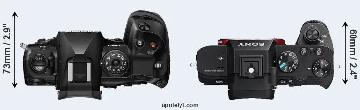 Compare OM-1 versus A7R II top