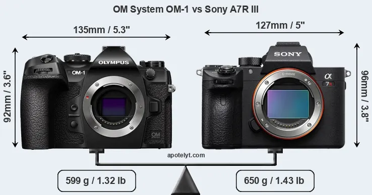 Size OM System OM-1 vs Sony A7R III