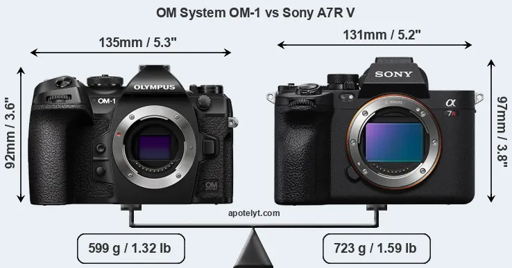 Size OM System OM-1 vs Sony A7R V