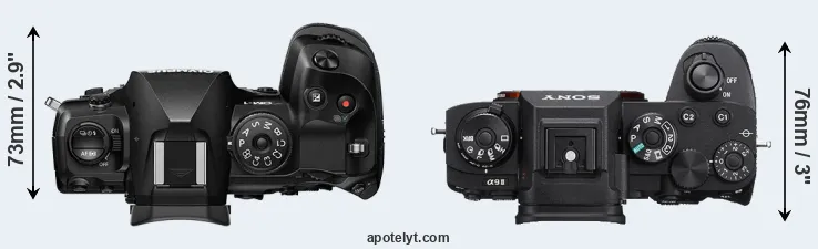 Compare OM-1 versus A9 II top