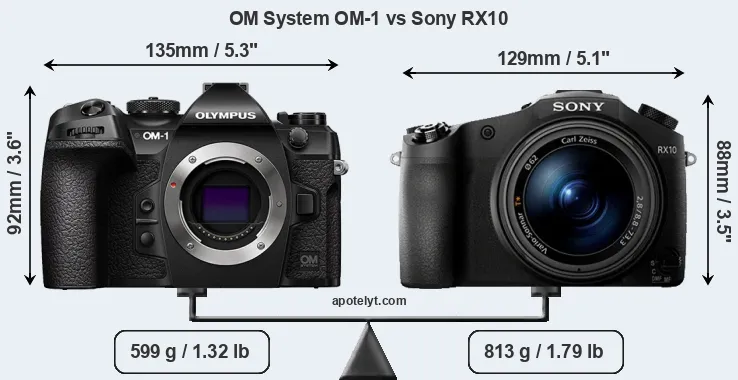 Size OM System OM-1 vs Sony RX10