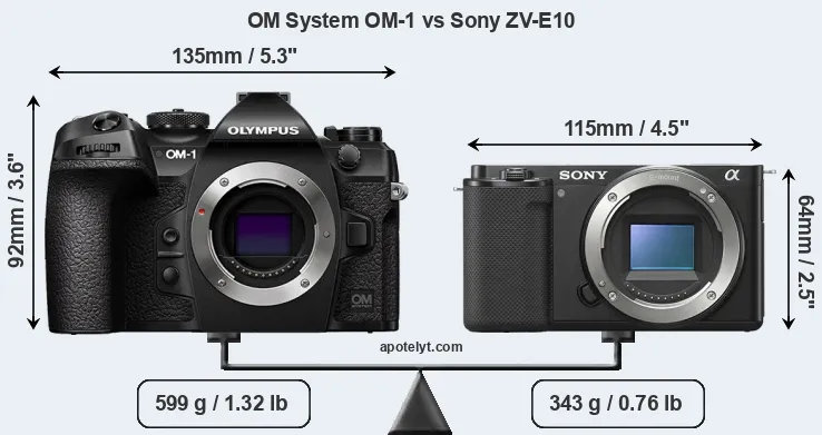 Size OM System OM-1 vs Sony ZV-E10