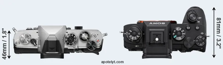 Compare OM-3 versus A1 top