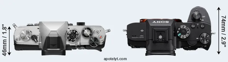 Compare OM-3 versus A7R IIIA top