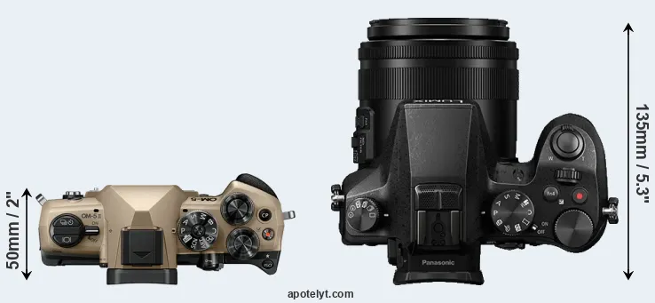 Compare OM-5 II versus FZ2000 top