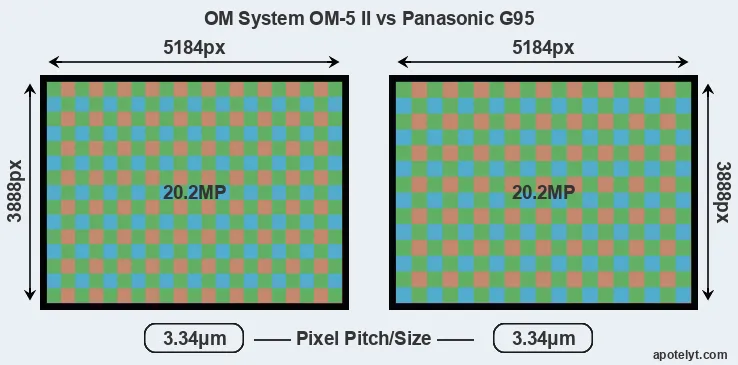 OM-5 II versus G95 MP