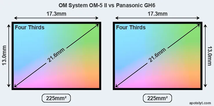 OM System OM-5 II and Panasonic GH6 sensor measures