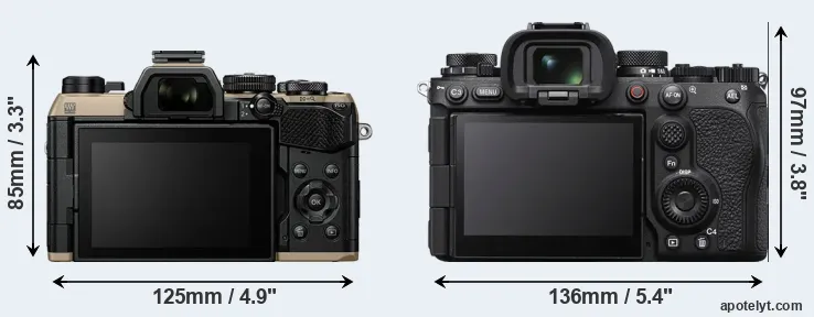 Comparison OM-5 II or A1 II rear