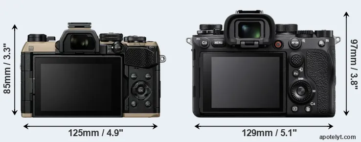 Comparison OM-5 II or A1 rear