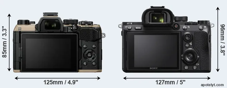 Comparison OM-5 II or A7 III rear