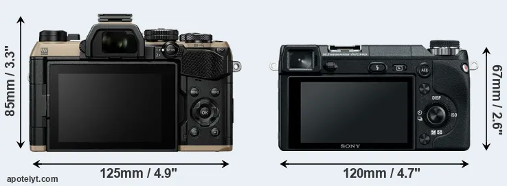 Comparison OM-5 II or NEX-6 rear