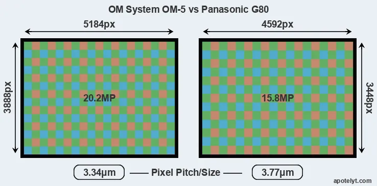 OM-5 versus G80 MP