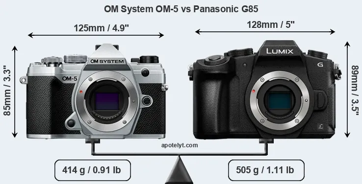 Size OM System OM-5 vs Panasonic G85