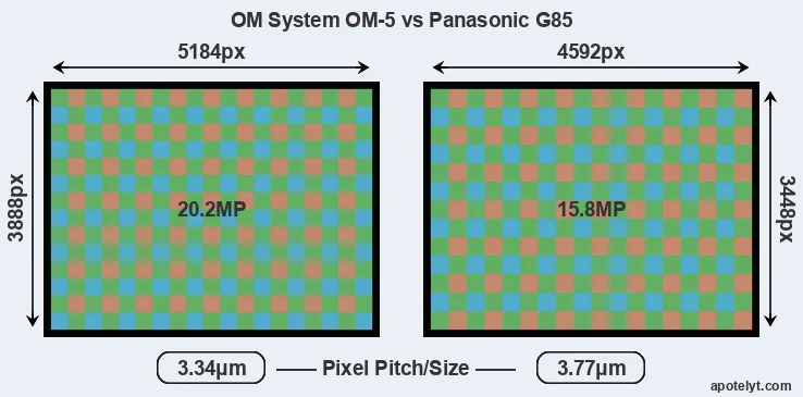 OM-5 versus G85 MP