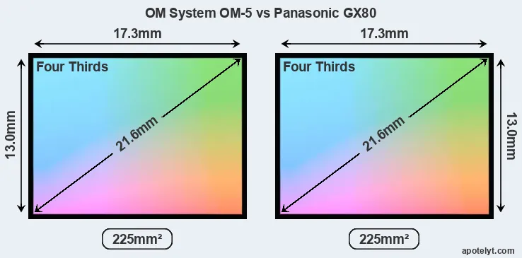 OM System OM-5 and Panasonic GX80 sensor measures
